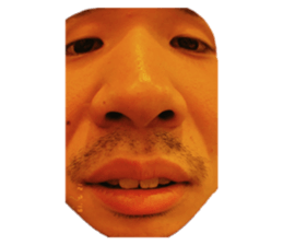 417904024