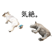 417973191