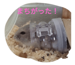 417990039