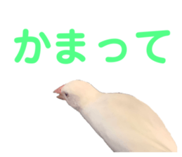418070149