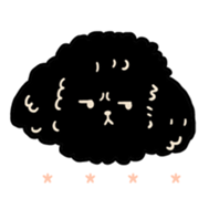 418075592
