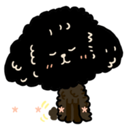 418075594