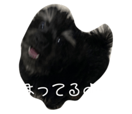 418155649