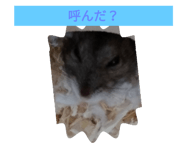 418174742