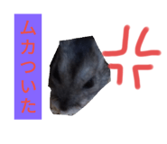 418174746