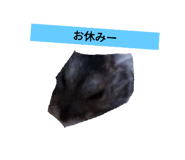 418174747