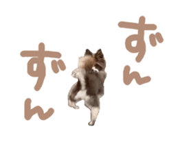418200591