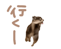 418200597