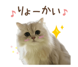 418250594