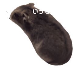418256512