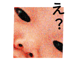 418308277