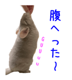 418592085