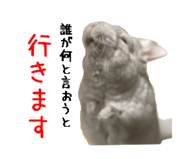 418592086
