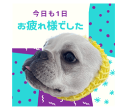 419083096