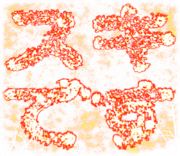 419242710