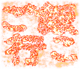 419242718