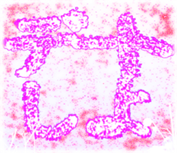 419242720