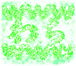 419242726