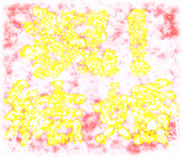 419242729