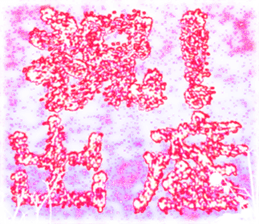 419242730