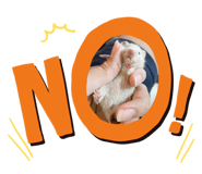 419276920