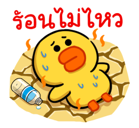 โดก้า x BROWN & FRIENDS รูปที่ 23