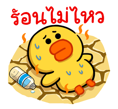 ลายที่ 23