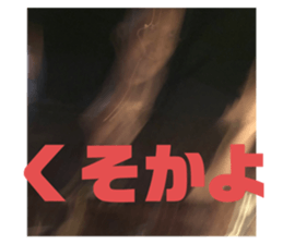 419407966
