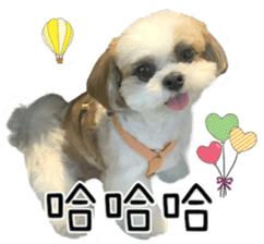 419448984