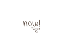419504585