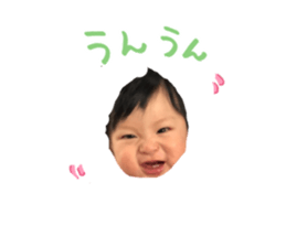 41951529