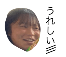 419544623