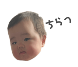 419544991