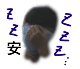 419665929