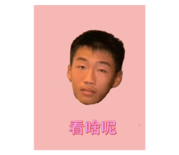 419712455