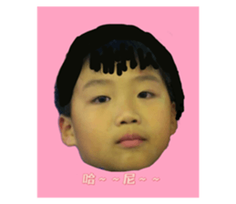 419712460