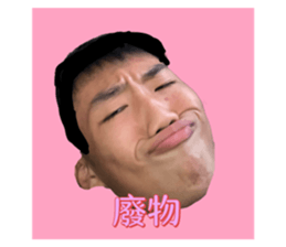 419712461