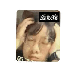 419785660