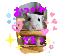 419878499