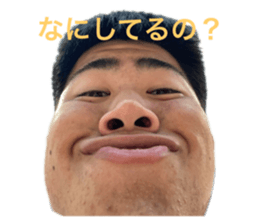 419954689