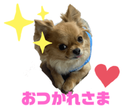 419994364