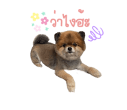420080398