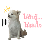 420080399