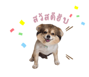 420080400