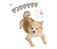 420080401