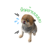 420080404