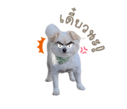 420080409