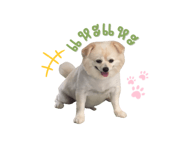 420080412