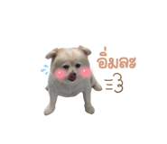 420080413