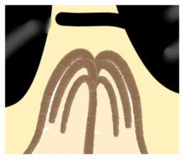 420095055